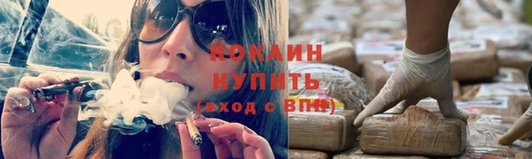 дживик Бронницы