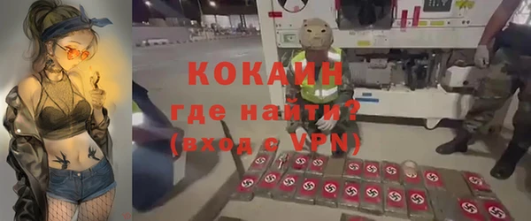мдпв Бородино