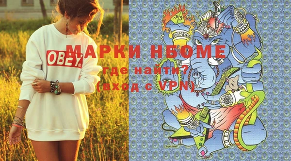 мдпв Бородино