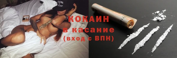 дживик Бронницы