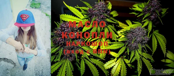 мдпв Бородино