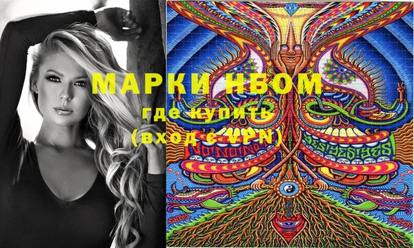 мдпв Бородино
