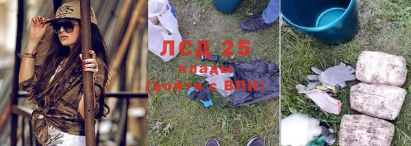 дживик Бронницы