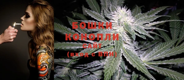 мдпв Бородино