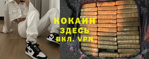 дживик Бронницы
