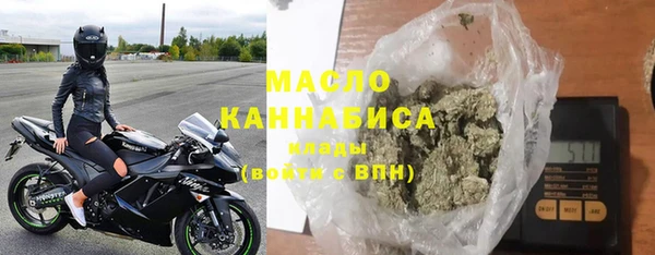 мдпв Бородино