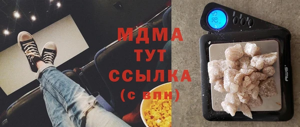 мдпв Бородино